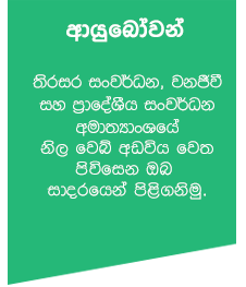 Sinhala